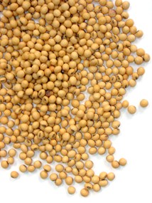 Soybean Allergy